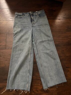 Everlane Raw-Hem Wide Leg Jeans in Light Blue